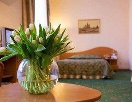 Максима Заря