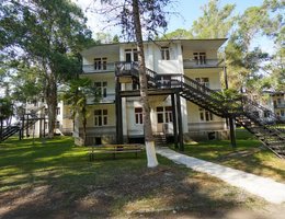 Эвкалиптовая роща