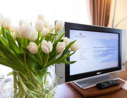 Максима Ирбис