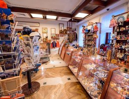 Амбассадор