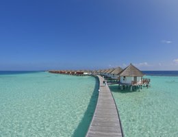 Safari Island Resort & Spa