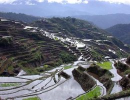 InterContinental Manila