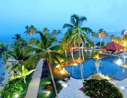 Hikka Tranz by Cinnamon