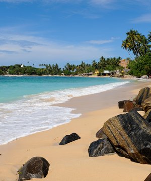 Изменений условий въезда на Шри-Ланку для российских туристов