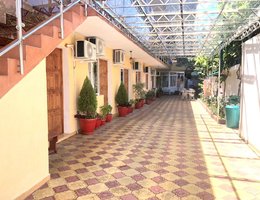 Дельфинчик