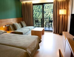 Hotel Piolets Park & Spa