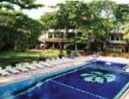 Palms, Mount Lavinia