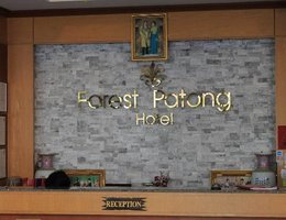 New Forest Patong
