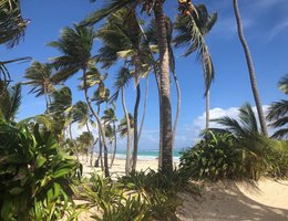 Art Villa Dominicana