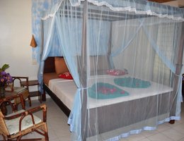 Whitepearl Beach Guest House