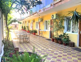 Дельфинчик