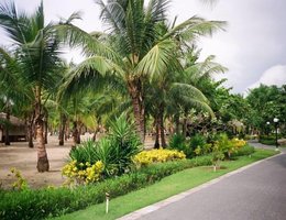 Playabachata Spa Resort