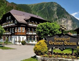 Hoteldorf Gruner Baum