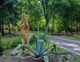 Лесная Поляна