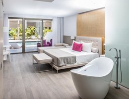 Platinum Yucatan Princess All Inclusive Suites & Spa Resort - Adults Only