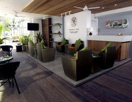 Coconut Tree Hulhuvilla Beach