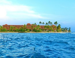 Hikka Tranz by Cinnamon