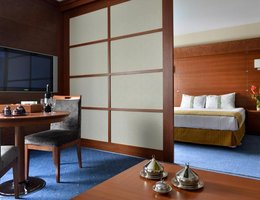 HOLIDAY INN ISTANBUL CITY TOPKAPI