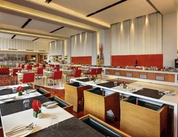 ibis New Delhi Aerocity