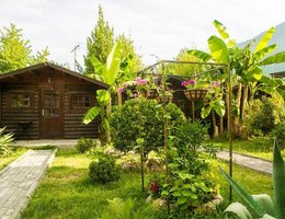 Cottages in Gagra
