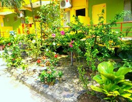 Wavelet Beach Resort