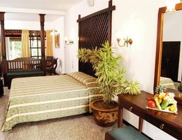 Palms, Mount Lavinia