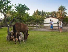 Club Hotel Turan Prince World