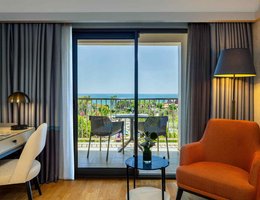 Arum Barut Collection