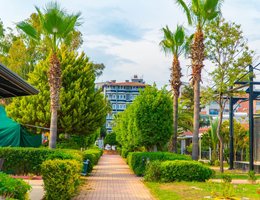 Clover Magic Park Beach