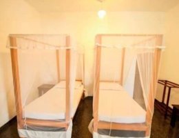 New White Surfing Habaraduwa