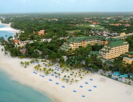 Coral Costa Caribe